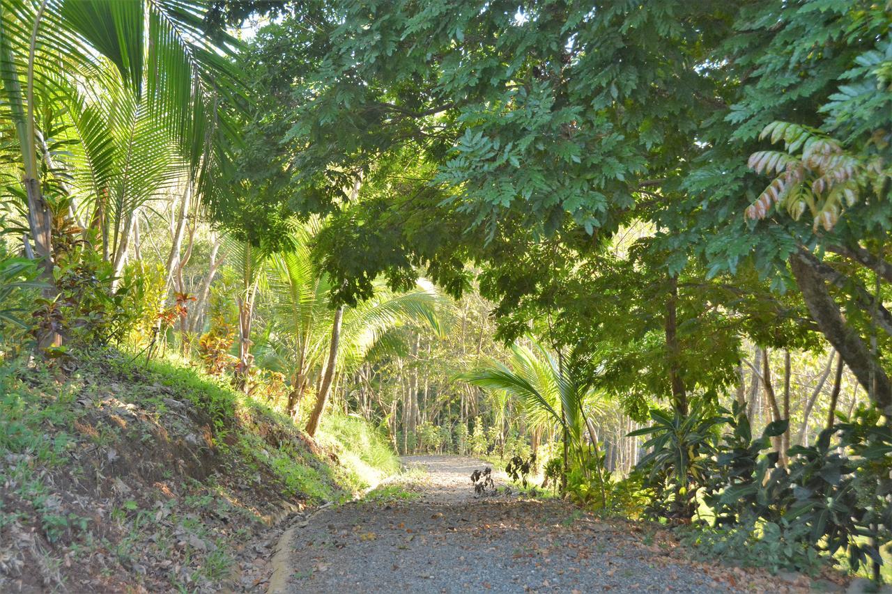 Lodge Margouillat ตามบอร์ ภายนอก รูปภาพ